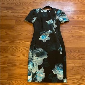 Calvin Klein Dress